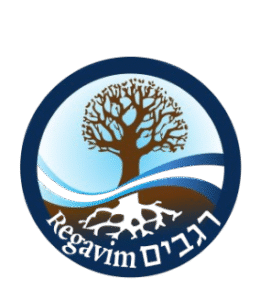 logo_2x-1-removebg-preview